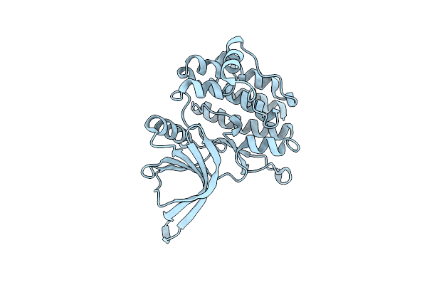 8C09 image