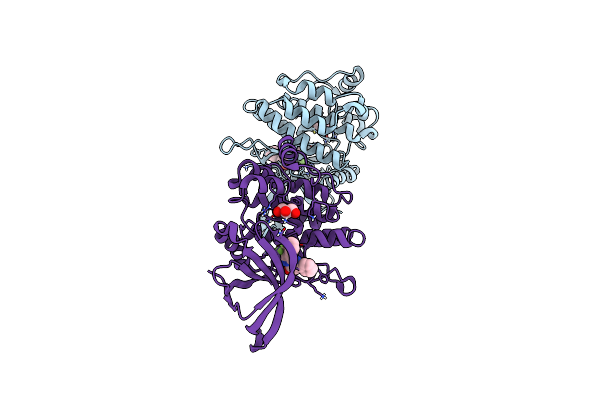 8C0A image