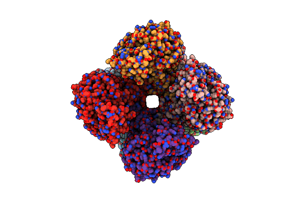 8C0B image