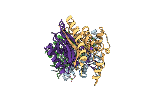 8C0I image