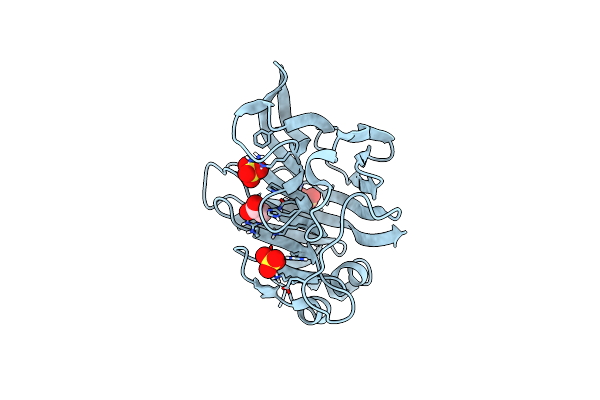 8C0M image