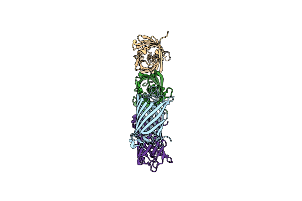 8C0N image