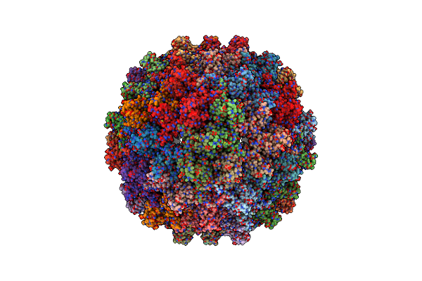 8C0O image