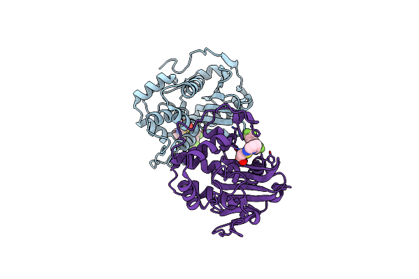 8C0P image