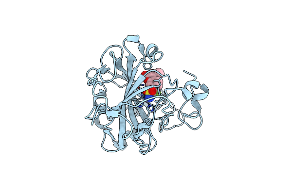 8C0R image