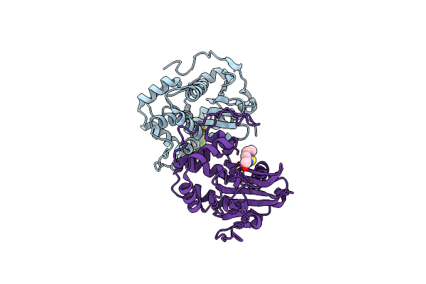 8C0S image