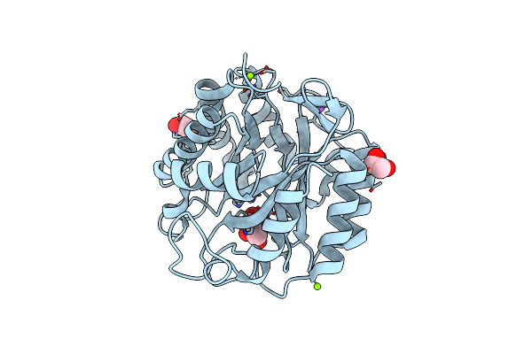 8C10 image