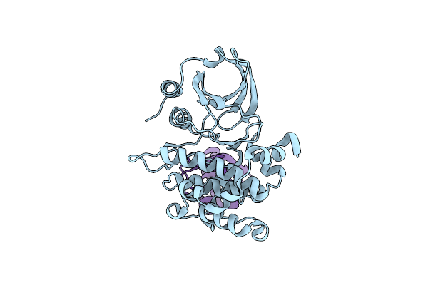 8C12 image