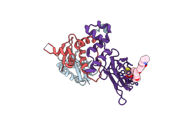 8C13 image