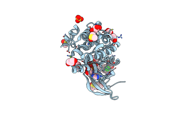 8C14 image