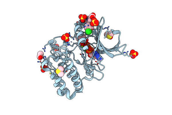 8C15 image