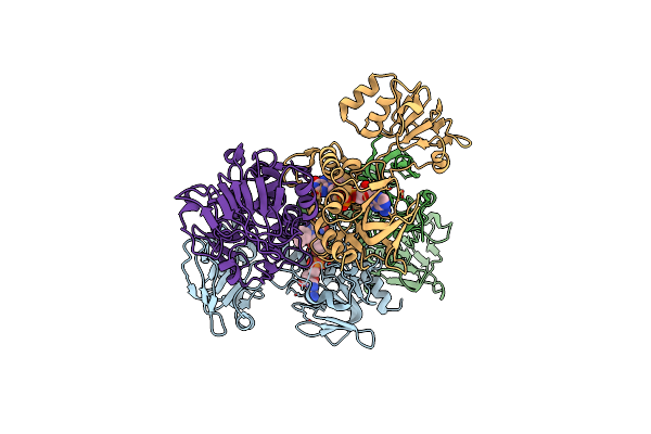 8C16 image