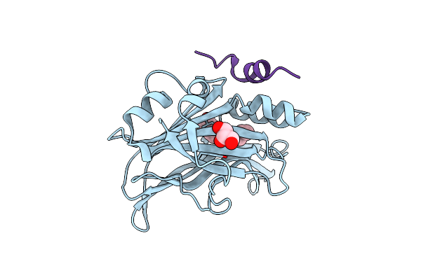 8C17 image