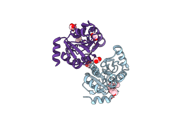 8C19 image