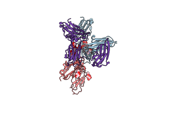 8C1B image