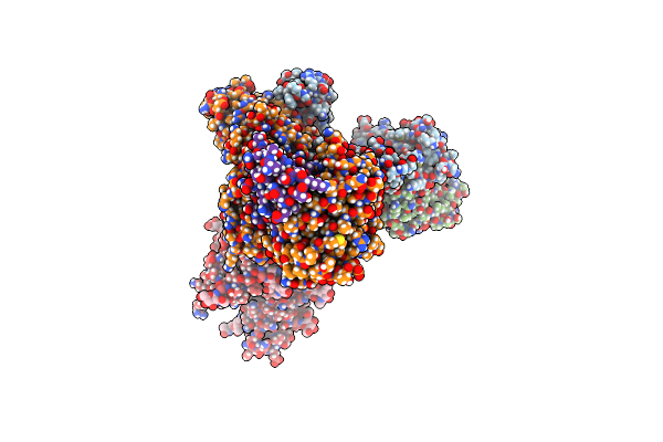 8C1C image