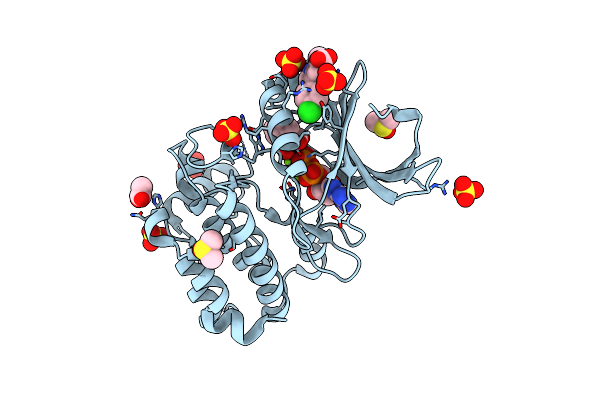 8C1D image