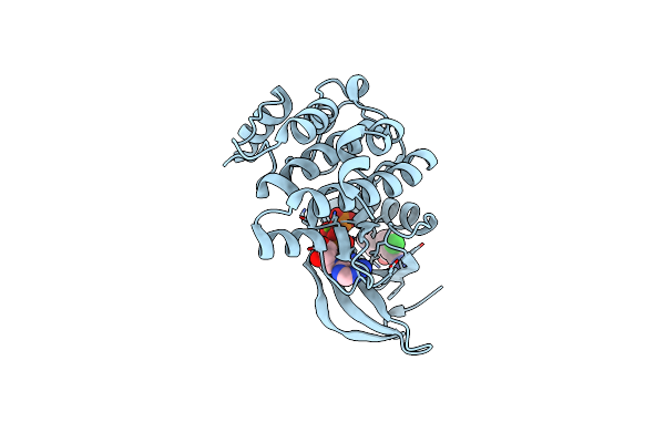 8C1E image