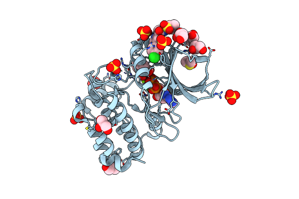 8C1F image