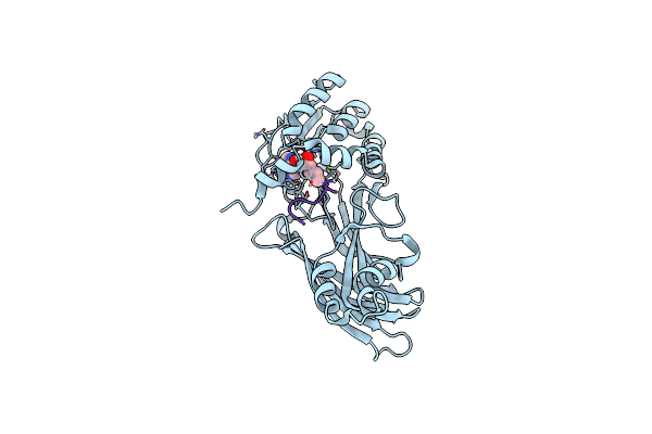 8C1J image