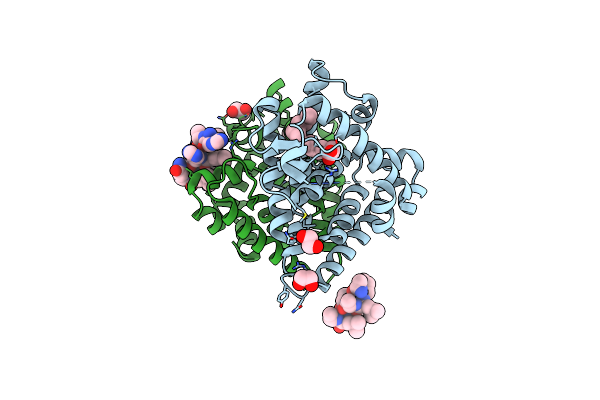 8C1L image