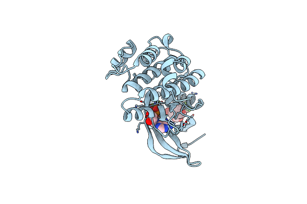 8C1M image