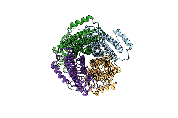 8C1Z image