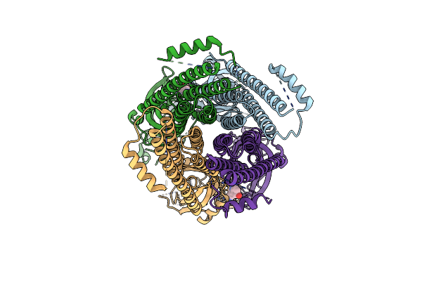8C20 image