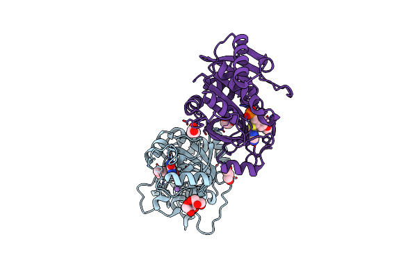 8C25 image