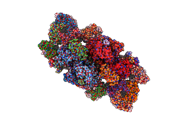 8C29 image