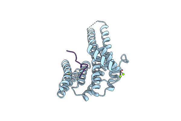 8C2D image