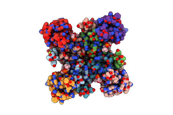 8C2I image