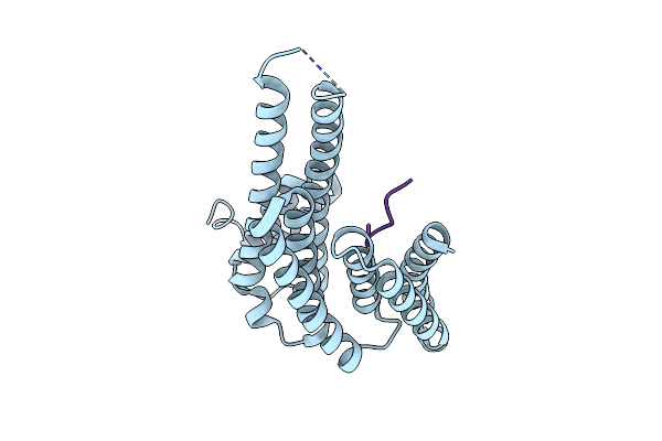 8C2Y image