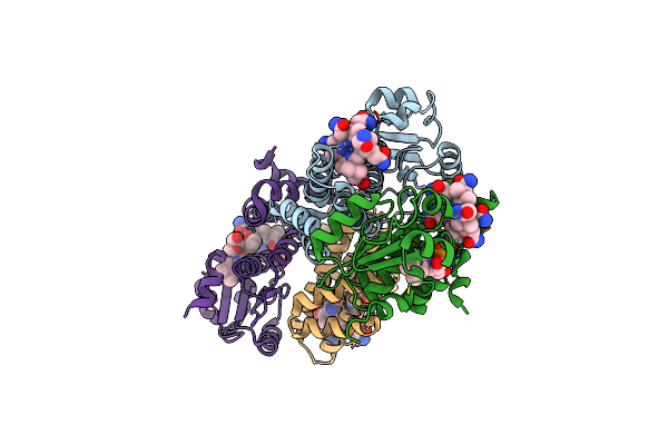8C33 image