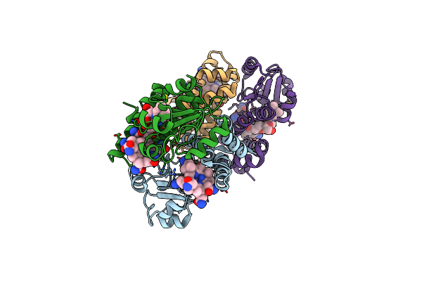 8C36 image