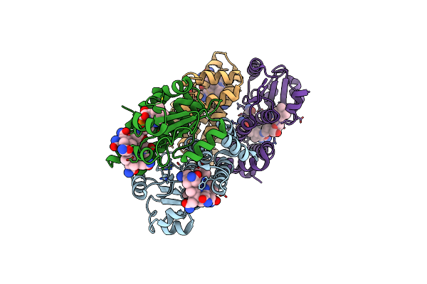 8C37 image