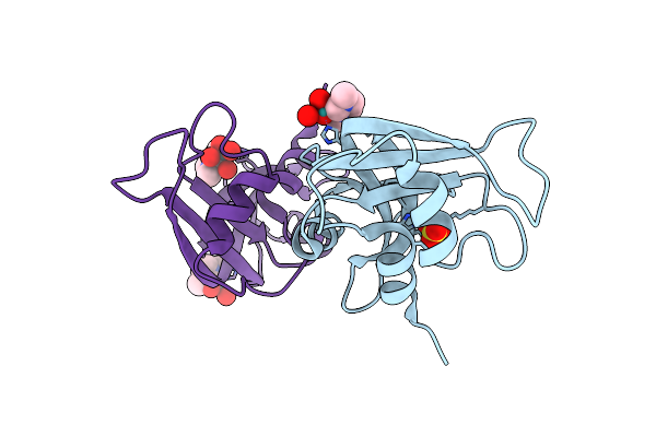 8C3B image