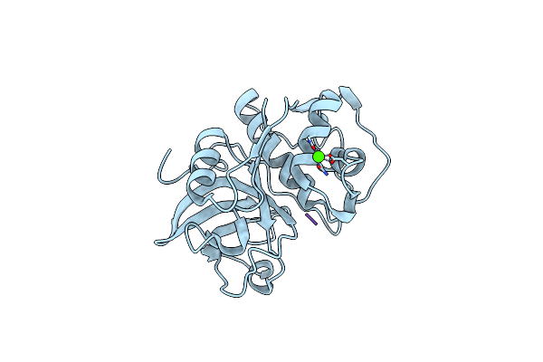 8C3D image