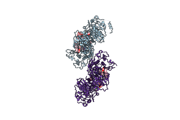 8C3O image