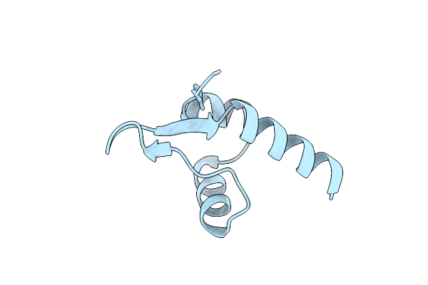 8C3T image