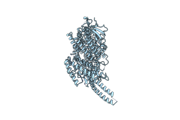 8C3Y image