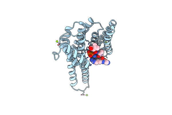 8C40 image