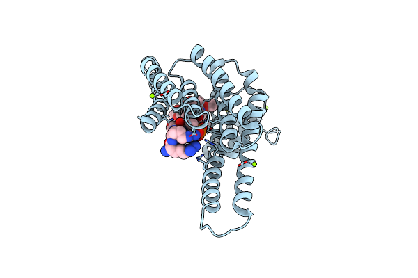 8C42 image