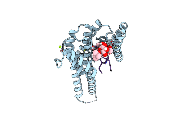 8C43 image
