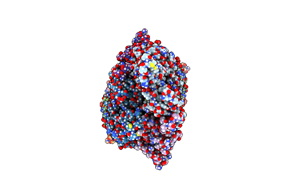 8C4C image