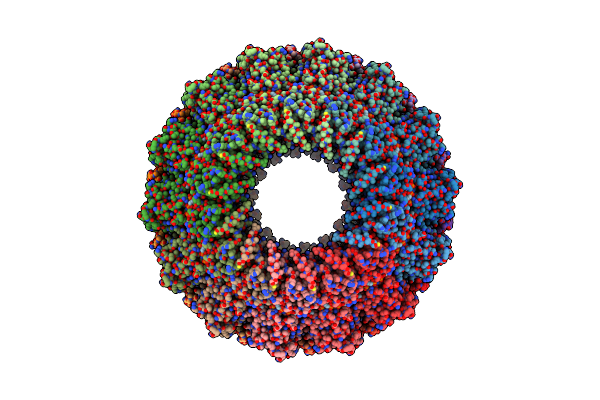 8C4H image