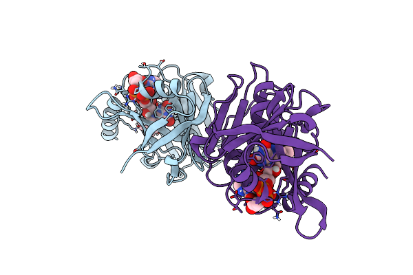 8C4L image