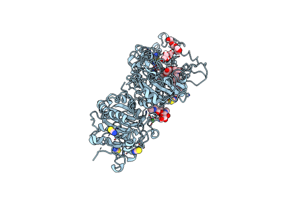 8C4W image