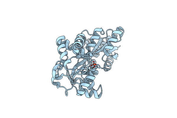 8C4Y image