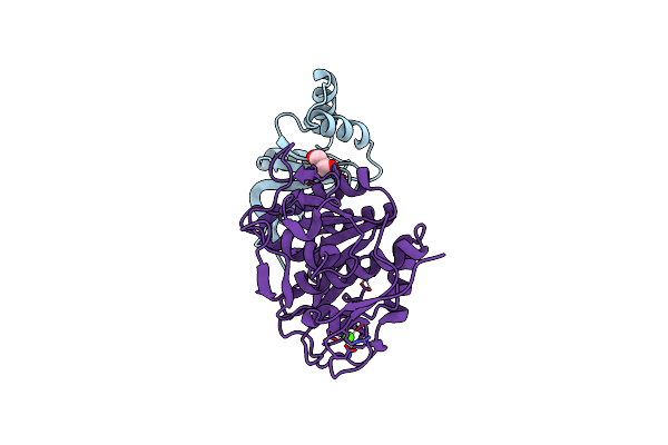 8C4Z image